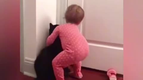 Funny cat play with baby kid