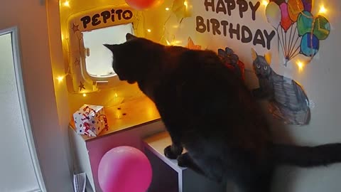 Happy Birthday Pépito