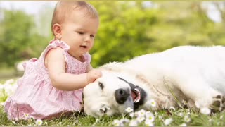 your baby and your pet a good combination :)