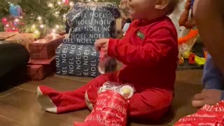 Arrow's first Christmas opening his own gifts, #shorts,