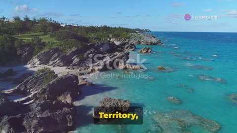 What's Interesting About Bermuda?