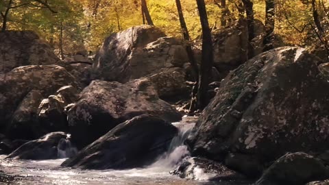 A ROCKY RIVER IN THE FOREST