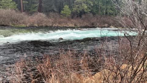 Turquoise Frothy Goodiness – Metolius River – Central Oregon