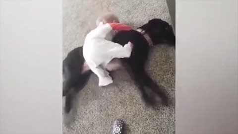 Baby got flipped over by a startled dog