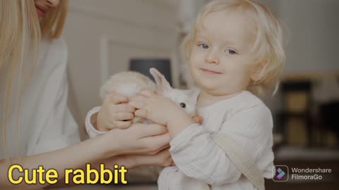 Peter rabbit blackberry | funny rabbit videos |
