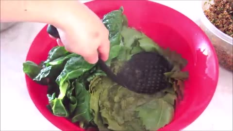 Instant Pot Vegan Stuffed Grape, Swiss Chard and Cabbage Leaves