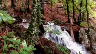 Chasing Waterfalls