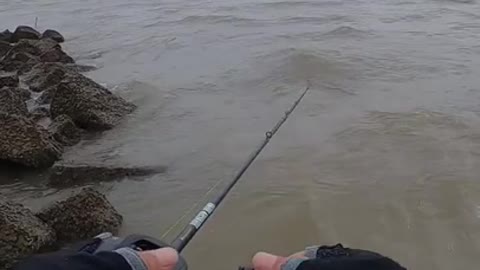 Best Asian Fishing 🐟 Unique Rural Fishing 🐟