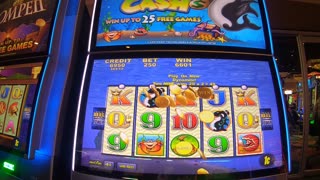 Whales Of Cash Slot Machine Play Low Roller Bonuses Free Games Jackpots!