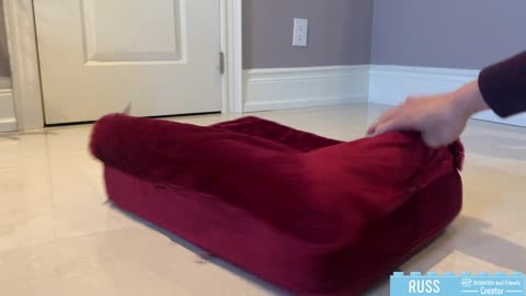 comfort dog bed