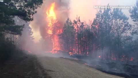 Flames and thick smoke as wildfire rages in Mississippi