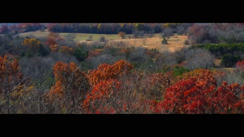 Fall Colors