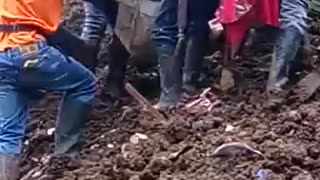 Deslizamiento de tierra en Cauca deja al menos 10 personas muertas