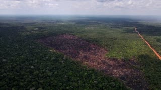 Despite climate pledge, Amazon deforestation surges