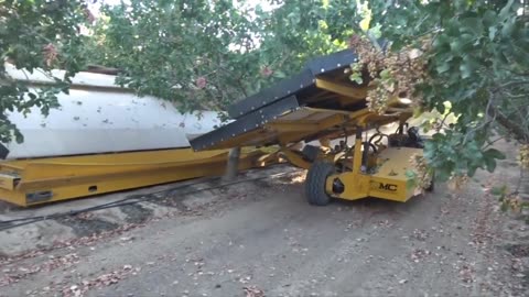 Smile Nuts Pistachio Cultivation - Pistachio harvest machine - Pistachio Processing Factory