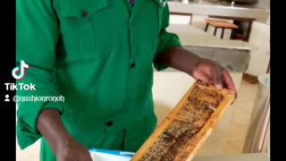 Honey processing