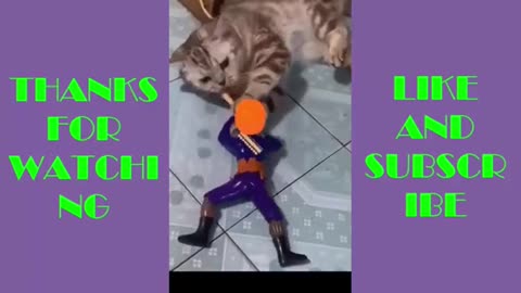ब्यौरा FUNNY VIDEOS OF PET AND TOYS 2023