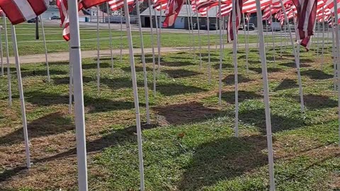 Field of Heroes in Lancaster, Ohio remembering our Vets sacrifice.