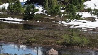 PICTURE LAKE MT. BAKE WASHINGTON