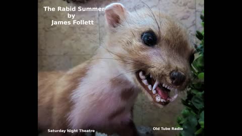 The Rabid Summer by James Follett