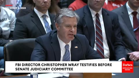 Whitehouse Grills FBI's Wray About Agency's Response To Agent Who Pled Guilty To Crimes