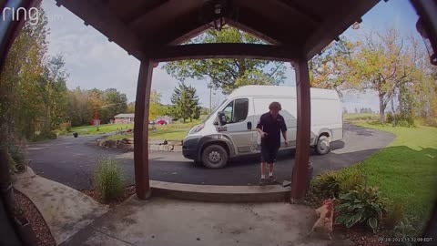 Frenchie Doesn't Like Deliveries