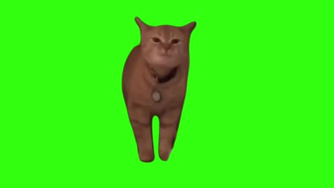 I go meow meme Green screen