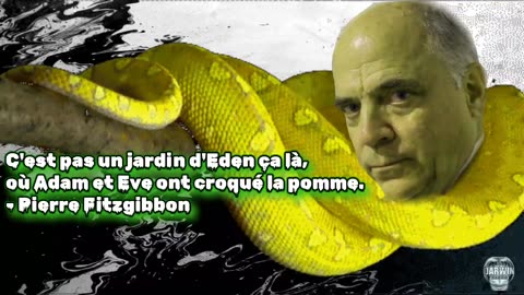 C'est pas le jardin d'Eden... 🍎🐍⚡️🧳🔋🪫