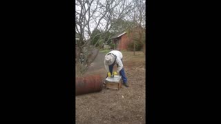 3rd bee removal 2019