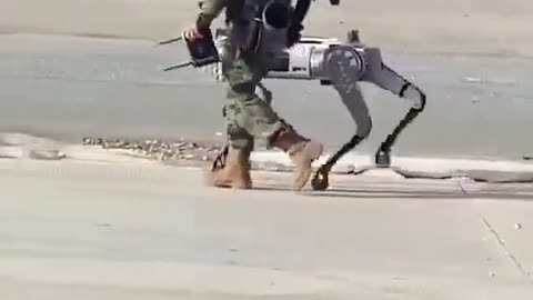 Chinese People’s Liberation Army soldier can be seen walking with an armed robot dog