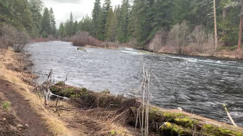 Hiking Right Up Beside Metolius River – Central Oregon