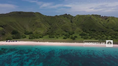 Cuaca Gelombang Panas Menghantam Dunia