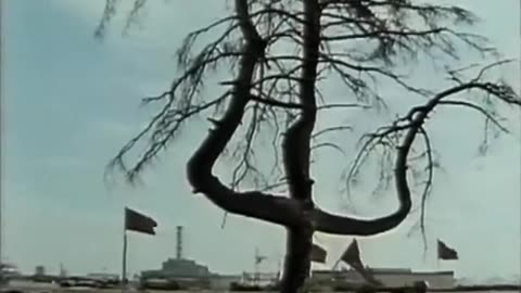 Tschernobyl privat Film 1989