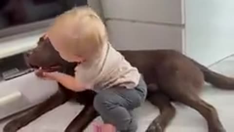 Adorable baby boy makes his dog happy