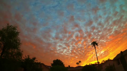 One Arizona Morning