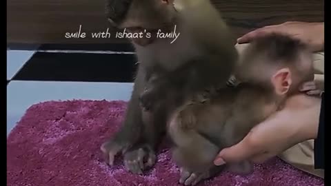 Monkey & baby take care.