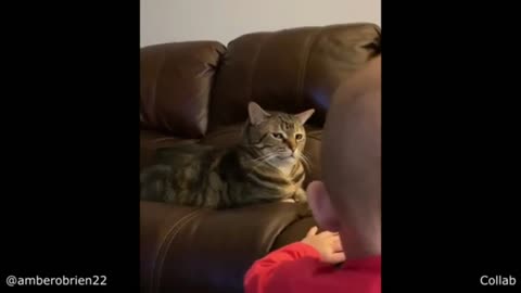 Cat gets annoyed by a hooman baby😂