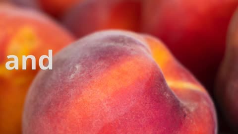 Surprising Apricot Facts! 🌟 The Ancient Fruit That Traveled the World 🍑
