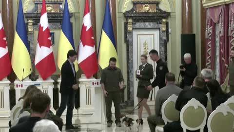 Zelenskiy awards medal to bomb-sniffing dog