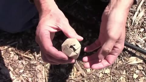 Quick Gardening Tip #2 - How to Make a Biodegradable Seedling Pot