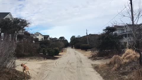 Outer Banks Beach Report- February 2nd Edition