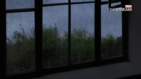 Heavy Rain and Thunder Sounds - 1 hour heavy rain - Rain sounds for sleep debt (1080P_HD)