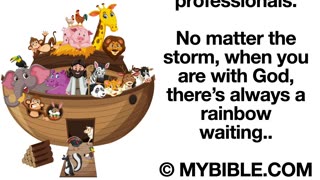 Everything I Need To Know About Life, I Learned In Noah's Ark