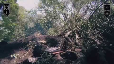 Incredible Firefight in a Heavily Forested Area