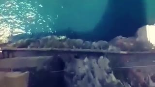 Extreme jump into the water.