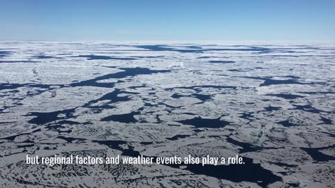 Arctic Sea Ice Hits 2023 Maximum