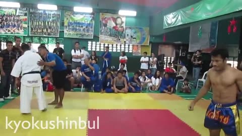 Kyokushin karate vs Muay Thai