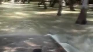 Tsunami In Maldives