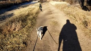 Nature Trail Walk