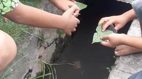 3 kid playing in the side of river